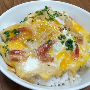 桜えびの卵丼